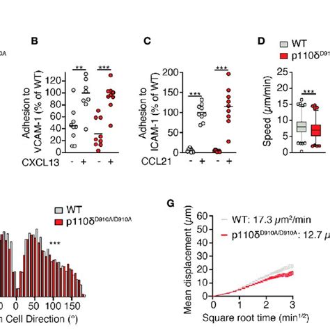 P110d Mediates Interstitial B Cell Motility Independent Of ICAM 1 A