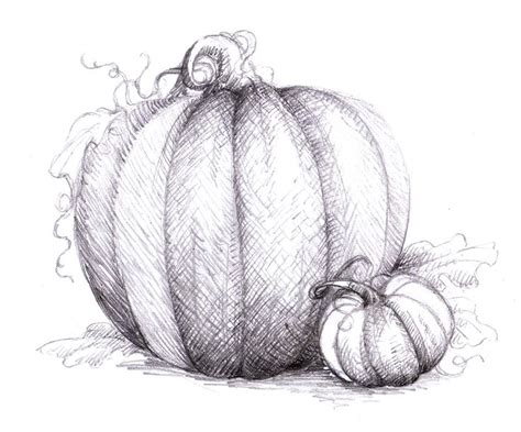 Magellin Blog Pumpkin Drawing Pumpkin Drawing Pumpkin Art Pumpkin Tattoo