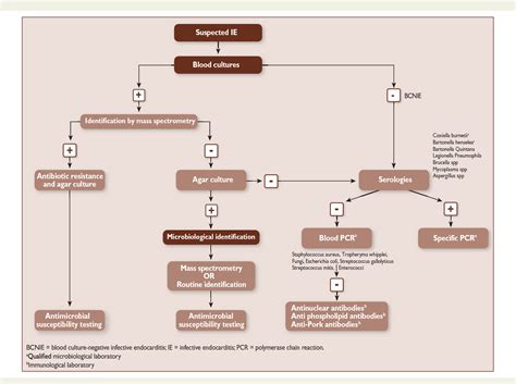 Figure 2 From [2015 Esc Guidelines For The Management Of Infective Endocarditis] Semantic Scholar