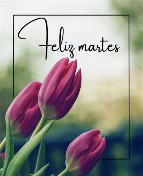 Pin By Julieta Mg On Pensamientos In Good Morning Images Flowers