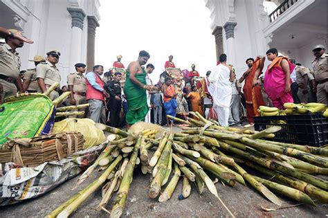 Dasara Elephants accorded traditional welcome at Palace - Star of Mysore