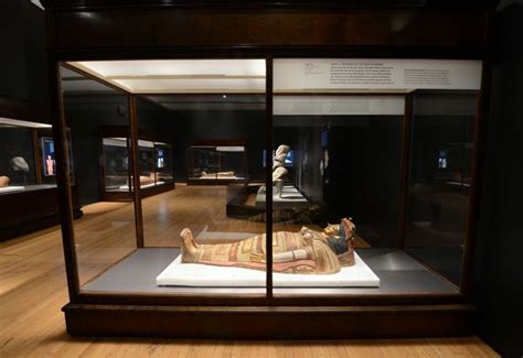 Peek Inside The New Mummies Exhibition At The Museum Of Natural