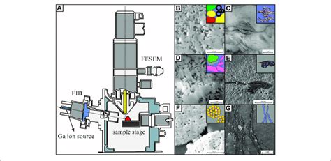 Focused Ion Beam Scanning Electron Microscopy Fib Sem Structure And Download Scientific