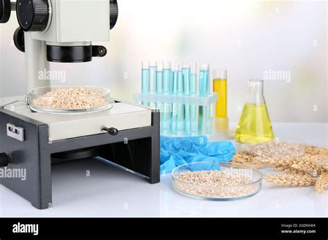 Microbiological Testing For Food Quality At Biochemistry Laboratory