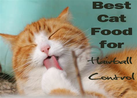 Best Cat Food for Hairball Control 2019 | Cat Mania