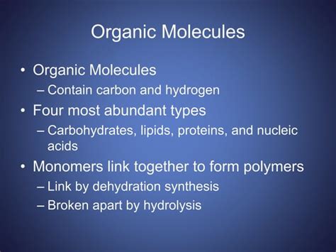 3 Biological Macromolecules Bio 101 Ppt