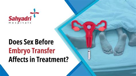 Does Sex Before Embryo Transfer Affect Fertility Treatment Sahyadri