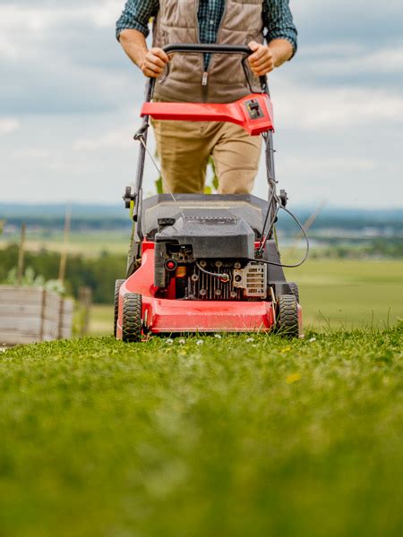 Mowing The Lawn Safely