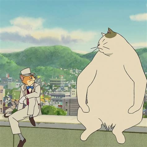 A Cat Standing Next To A Man On Top Of A Roof In Front Of A City