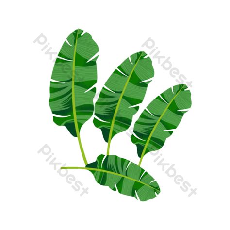 Banana Leaves Collection Background Psd Png Images Free Download Pikbest