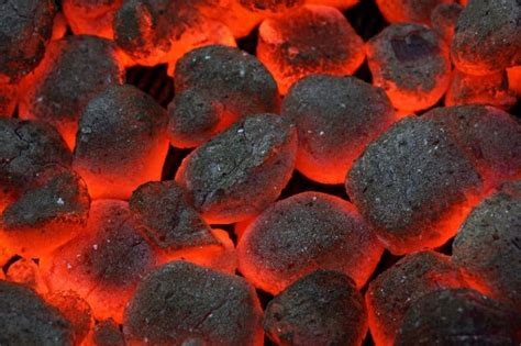 Best Charcoal Briquettes Buying Guide Top Products On The Market