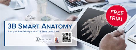 3b Smart Anatomy Simulation And Skills Training For Medical Education 3b Scientific