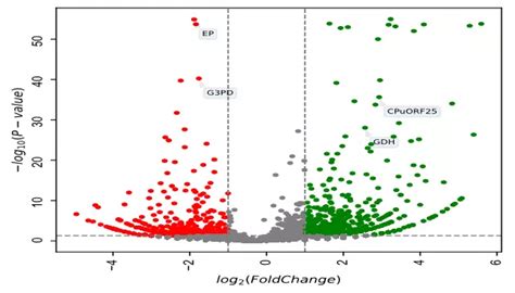 Volcano plot in Python