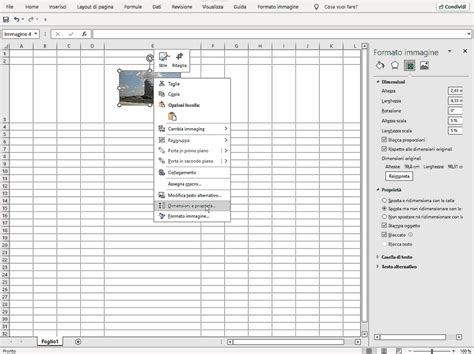 Inserire Immagini In Excel Una Guida Chiara E Dettagliata Ionos