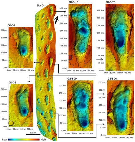 New Footprints From Laetoli Tanzania Provide Evidence For Marked Body