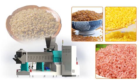 How To Make Fortified Rice Automatically? - Shandong Loyal Industrial Co.,Ltd.