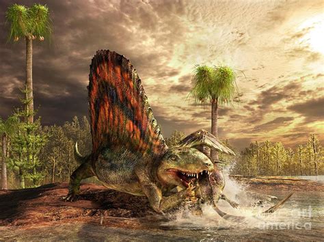 Dimetrodon Catching Its Prey By Masato Hattoriscience Photo Library