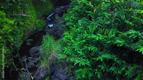 Video Stock Maui Hawaii Hana Highway Wailua Falls Near Lihue Kauai