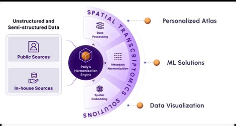 Deconvolution In Spatial Transcriptomics