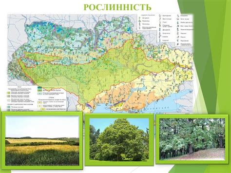 Презентація на тему: "Лісостепова природна зона України"