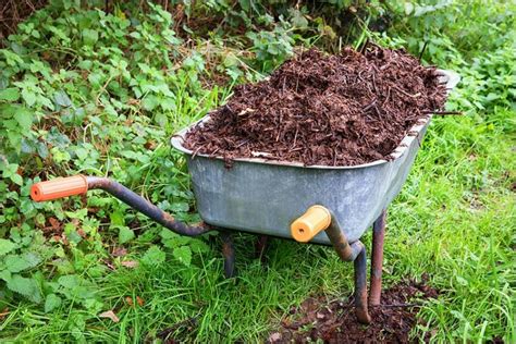 Cómo Hacer Abono Orgánico O Compost En Casa En Pocos Pasos Arpasa