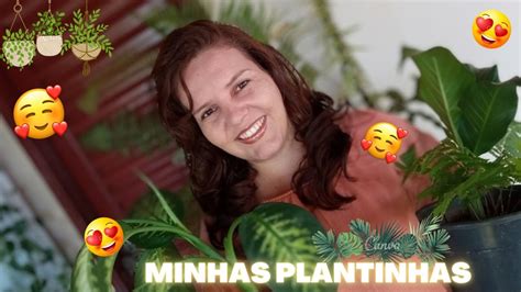 Mostrei Todas As Minhas Plantinhas Tour Pelas Minhas Verdinhas Parte