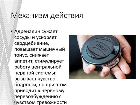 Снюс – бездымный табачный продукт - online presentation