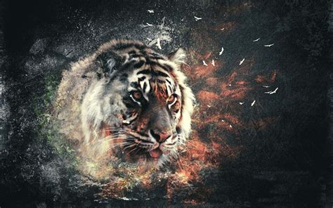 Abstract Tiger Wallpaper - WallpaperSafari