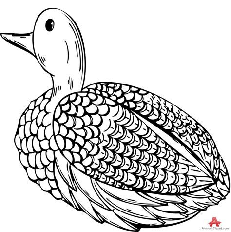 The Wild Duck Clipart 20 Free Cliparts Download Images On Clipground 2024