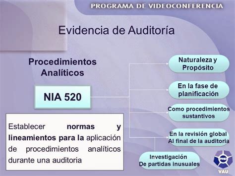 Normas Internacionales De Auditoria Ii Resumen Nia 520