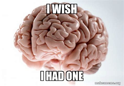 I Wish I Had One Scumbag Brain Meme Generator