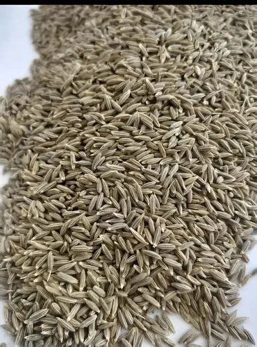 Brown Cumin Seed At Rs Kg South Delhi New Delhi Id