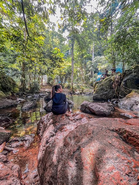 Layan Camping Di Dangau Jungle Herb Sauna Kl Campsite Tengah Kota