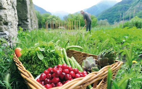 Loi Agriculture Et Alimentation Pour Une Alimentation Saine Et