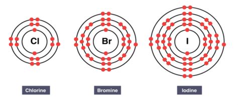 Group Halogens Chlorine Bromine And Iodine Flashcards Quizlet