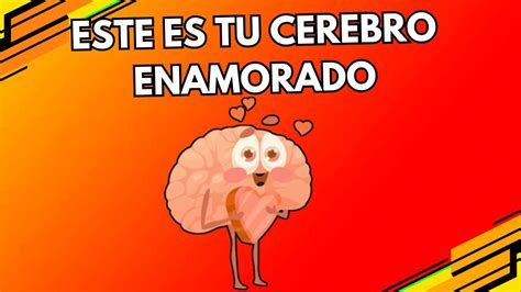 ¿que Pasa En Tu Cerebro Cuando Amas Youtube