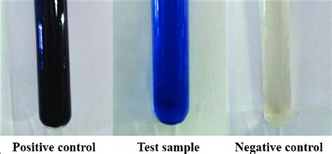 Urine Sodium Dithionite Test Showing Positive Result In The Test Sample Download Scientific