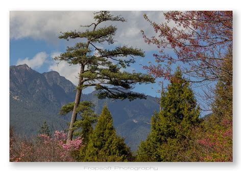 Central Taiwan Mountains - Taoshan • Backpacker & Travel Photography