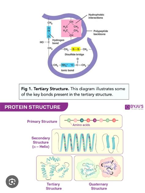 protein protein interaction