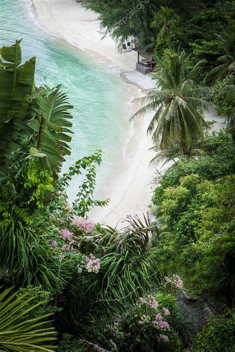 vista aérea de la bonita playa tropical con algunas palmeras 2022