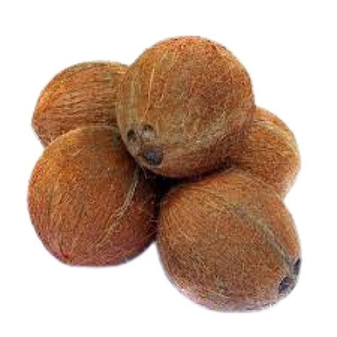 Common Full Husked Standard Size Round Shape Brown Fresh Coconut At