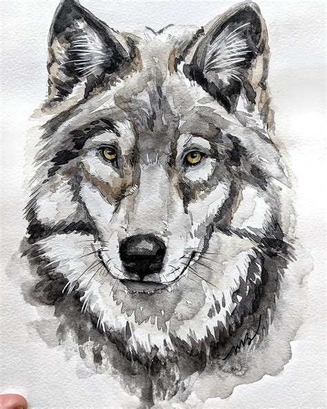 Watercolor wolf – Artofit