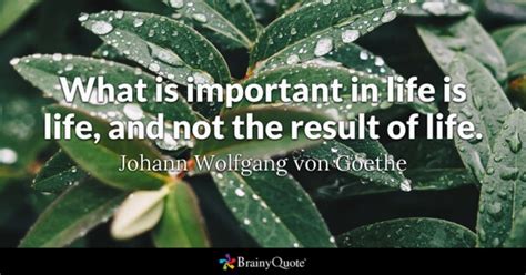 Johann Wolfgang Von Goethe Quotes Brainyquote