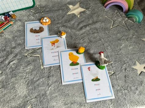 Cycle De Vie De La Poule Figruines Et Cartes Montessori Montessori