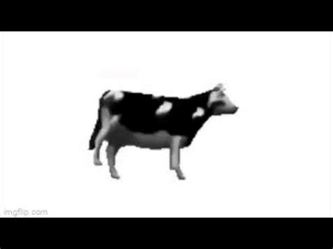 dancing polish cow | Tylko Jedno W Głowie Mam / Polish Cow | Know Your Meme