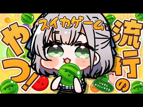 【動画】【スイカゲーム】初めてのスイカゲーム！3000点を目指す🍉👀【白銀ノエルホロライブ】 ブィレーダー Vtuber情報