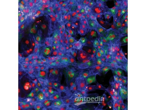 Perkinelmer Operetta Cls高内涵成像分析系统照片视频分析测试百科网