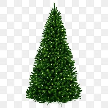 Christmas Tree Png Vector Psd And Clipart With Transparent