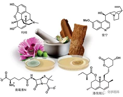 科研方法：天然产物 新药发现的重要源泉 江苏省职业教育刘晓娟