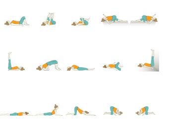 Restorative Yoga Sequences - Foundational Sequences for Yoga Teachers | Tummee.com